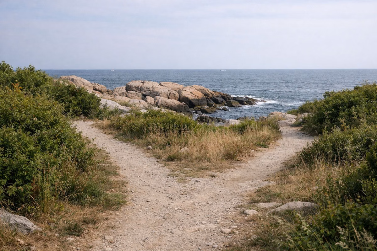 A fork in a coastal path through scrub above the ocean